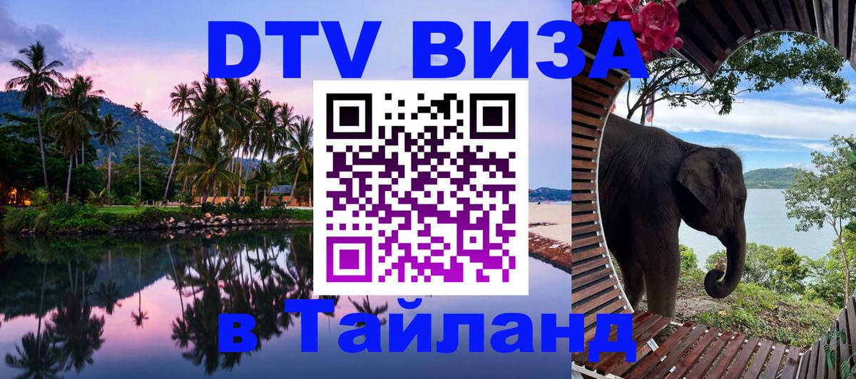 Оформление DTV визы под ключ: стоимость и тарифы, только загранпаспорт - 20.11.2025 